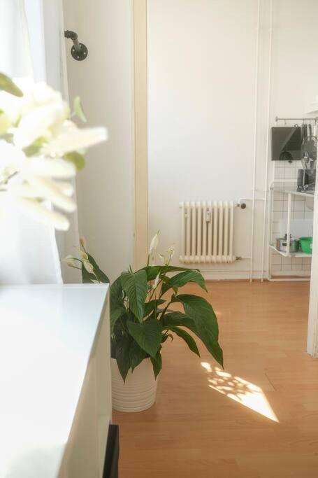 Stadtoase Nahe Hauptbahnhof Apartment Koblenz (Rhineland-Palatinate)